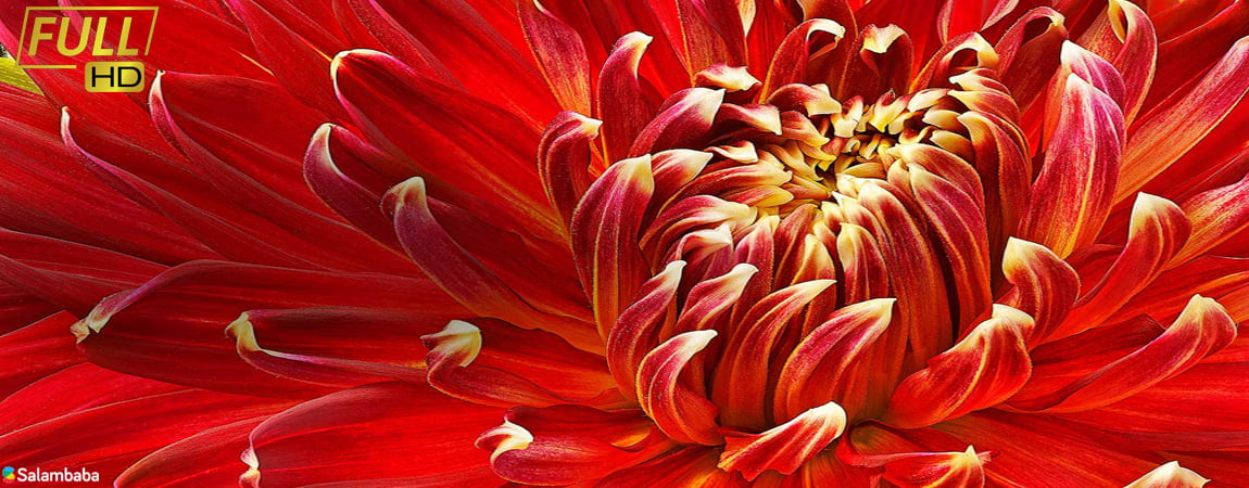 کیفیت تصویر Full HD در تلویزیون ال جی LM5700